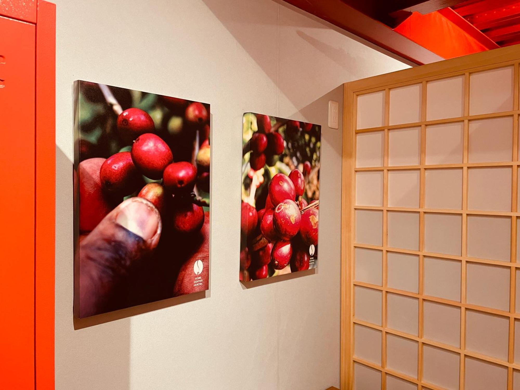 Kobe Coffee Hostel Kültér fotó